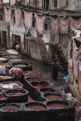 Concerie di Fès