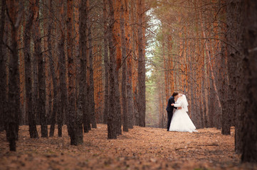 bride groom are walking in the woods at the wedding