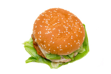 Hamburger with cheese from above