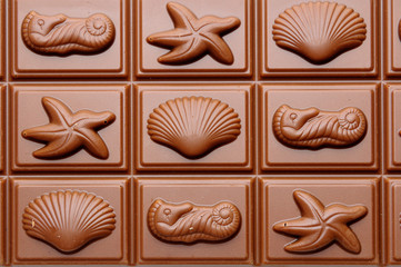 chocolate with shells