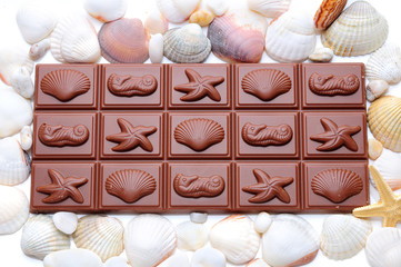 chocolate with shells