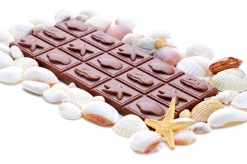 chocolate with shells