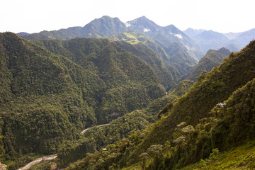 Primary native forest in the canyon of the river Toachi