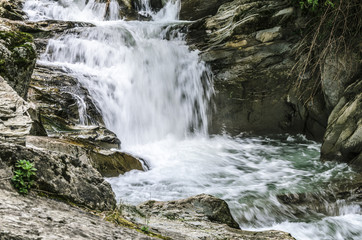 Fototapeta premium Waterfall In The Forest
