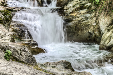 Waterfall In The Forest