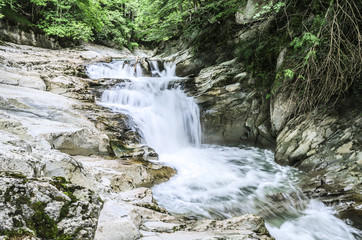 Waterfall In The Forest