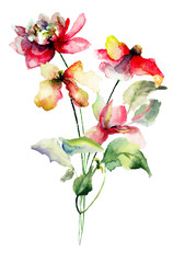 Obraz na płótnie Canvas Original Summer flowers