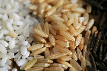 Different types of rice close up