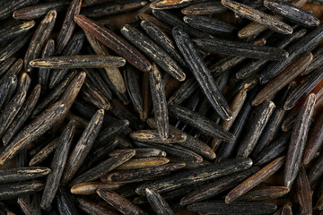 Rice grains close up
