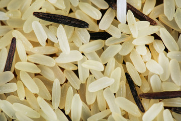 Rice grains close up