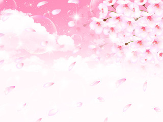 桜　花　背景