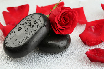 Spa stones and petals on colorful background