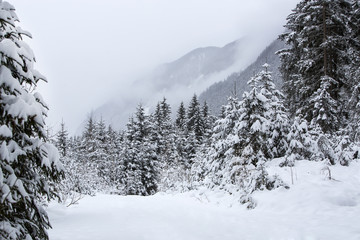 Foggy mountain landscape in winter