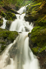 Obraz premium Waterfall through a moss covered rock area