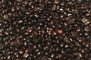 coffee beans