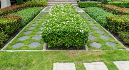 Gravel texture and strip grass in garden