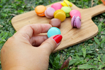 French macaroons multi colorful is delicious
