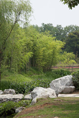 Obraz premium Yangzhou