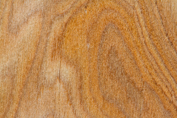 Wood texture background
