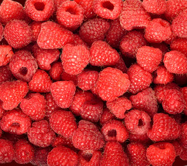 raspberry juicy ripe