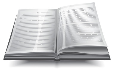 Gray opened book with text