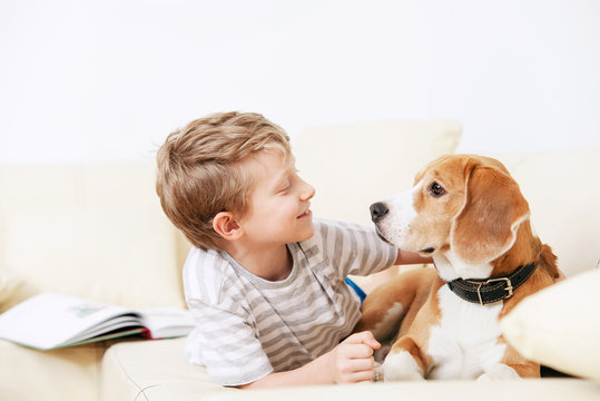 Two friends - boy and dog lying together on sofa