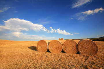Toscana,Val d'Orcia