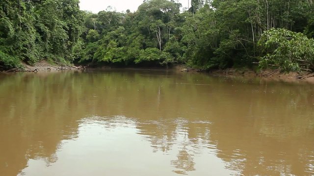 Drifting down an Amazonian river