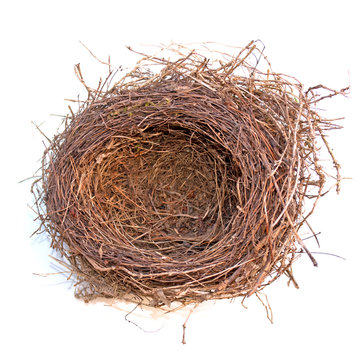 2 949 Best Vogelnest Images Stock Photos Vectors Adobe Stock