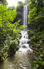 high full-flowing waterfall in the rainforest