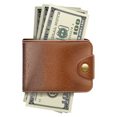 Vector Wallet with Money