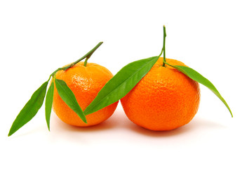 mandarin on white