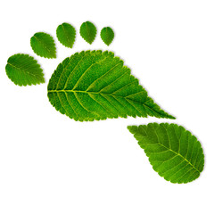 Eco footprint - obrazy, fototapety, plakaty
