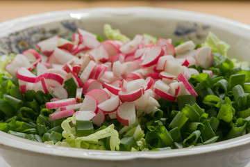 radishes and green onions