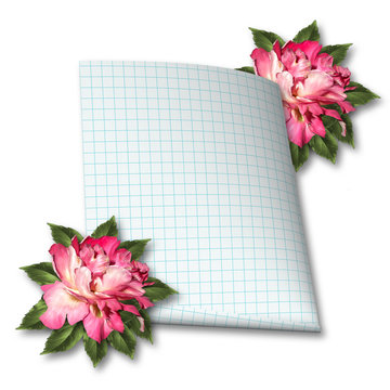 Beautiful hand drawn rose branch and sheet of paper on white iso