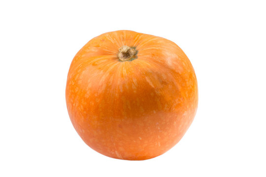 pumpkin isolated on a white background