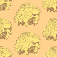 Sketch cute echidna in vintage style