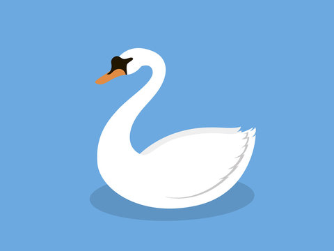White Swan On The Lake, Illustration In Flat Style