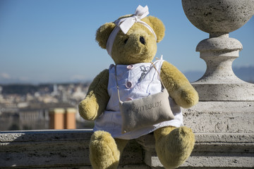 Teddy bear