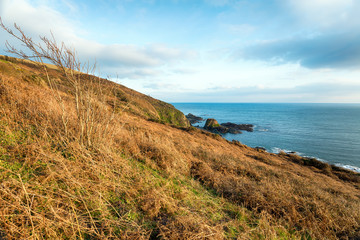 Fototapeta na wymiar Cornish Coast at Talland Bay