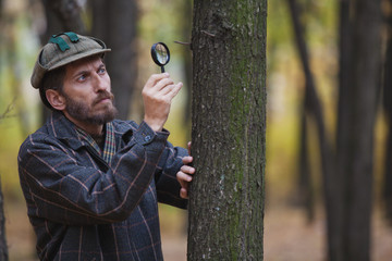 Man detective with a beard examines a tree trunk