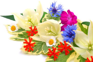 Bouquet of beautiful wildflowers, chamomiles, chrysanthemums, pe