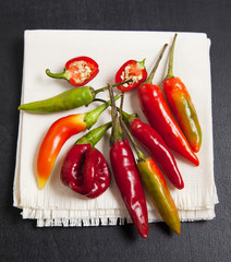 colorful chili pepper on dark