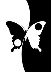 Yin Yang - Schmetterling - Tag & Nacht