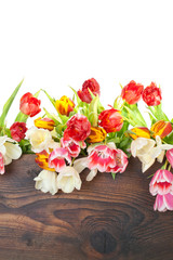bunte tulpen 