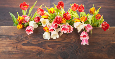 bunte tulpen auf einem holz hintergrund 