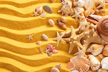 Fototapeta na wymiar Yellow sand and seashells background.