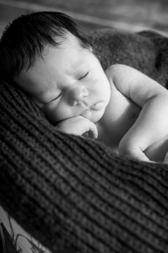 portrait cute newborn baby sleeping