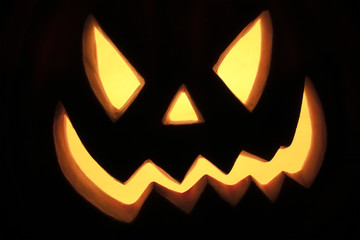 A beautiful pumpkin in a studio black background