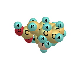 Fototapeta premium Gabapentin molecule isolated on white